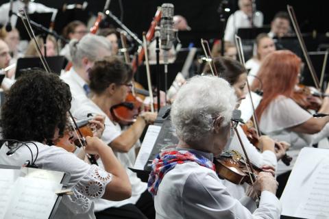 String players at the concert in the park