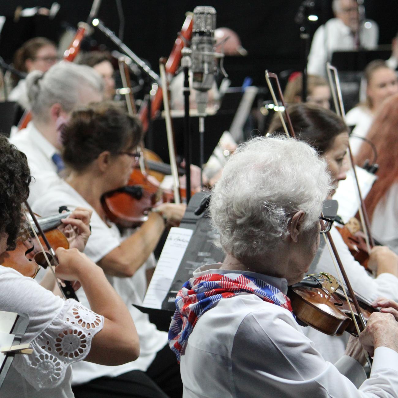 String players at the concert in the park